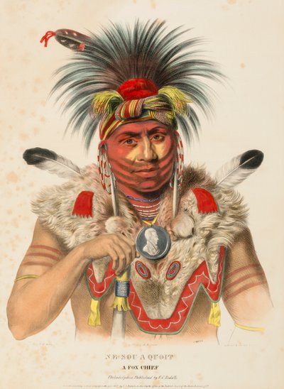 ne-sou-a-quoit.北米インディアン部族史』より「A FOX CHIEF. 作： Charles Bird King