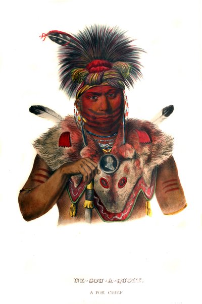 Nesouaquoit（「木の分かれ目にいるクマ」の意 作： Charles Bird King