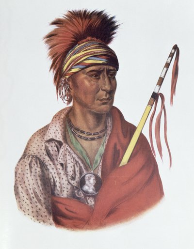 ノーチミネまたはノーハート、アイオワ州首長、1837年、イラスト「北アメリカのインディアン部族、第2巻」、THomas L.マッケニーとジェームズホール、パブ。ジョン・グラント 作： Charles Bird King