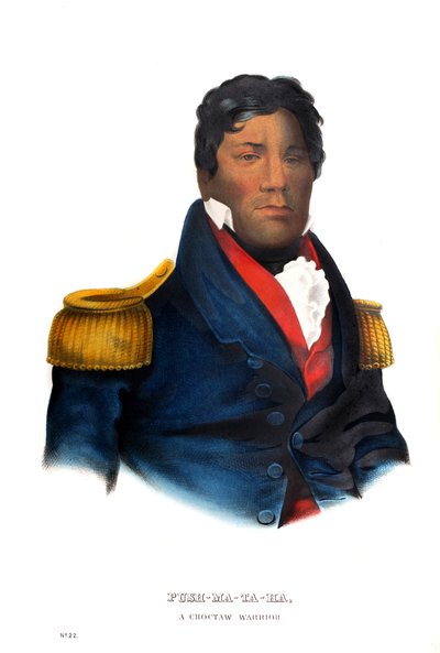 チョクトー族の戦士、プシュマタハ 作： Charles Bird King