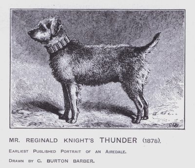 Mr Reginald Knight