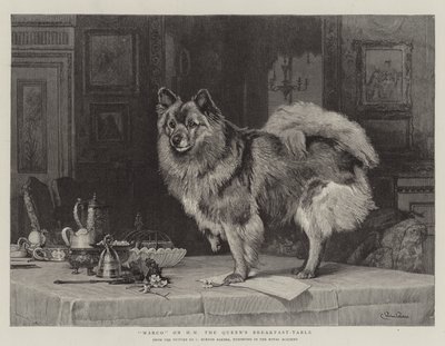 マルコ、女王の朝食テーブルで 作： Charles Burton