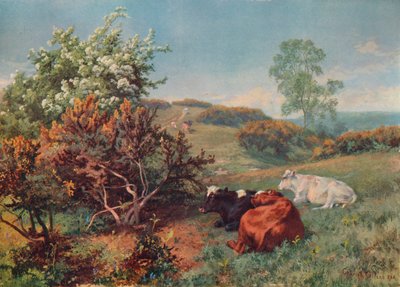 牛のいる風景、ドーキング、c1899 作： Charles Collins