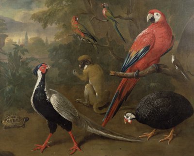 キジ、コンゴウインコ、サル、オウム、カメ 作： Charles Collins
