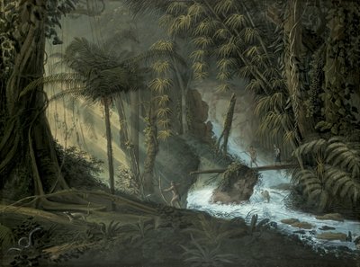ブラジルの森 作： Charles Comte de Clarac