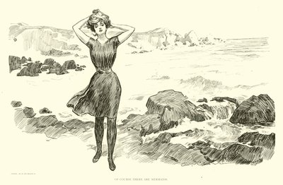 社会のはしごのイラスト 作： Charles Dana Gibson
