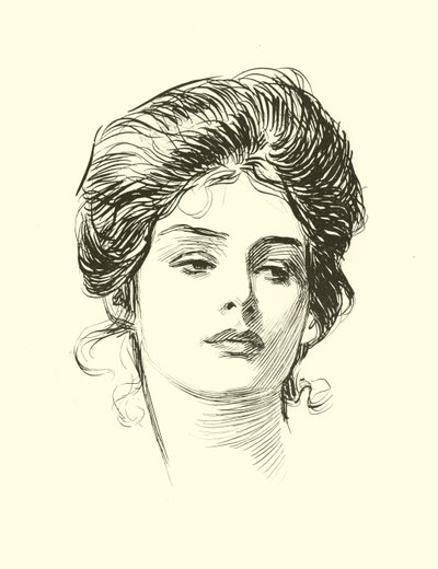 社会のはしごのイラスト 作： Charles Dana Gibson