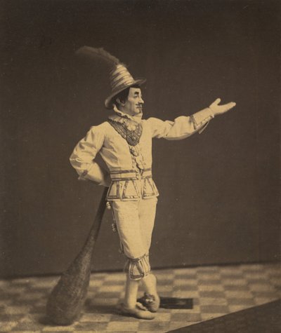 ピエロ、カリフォルニア州。 1860年。 作： Charles De Forest Fredricks