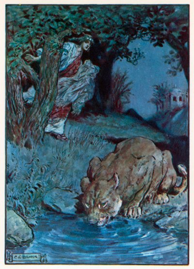  作： Charles Edmund (after) Brock