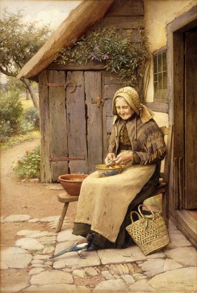 羽の生えた友達（紙にc付き） 作： Charles Edward Wilson