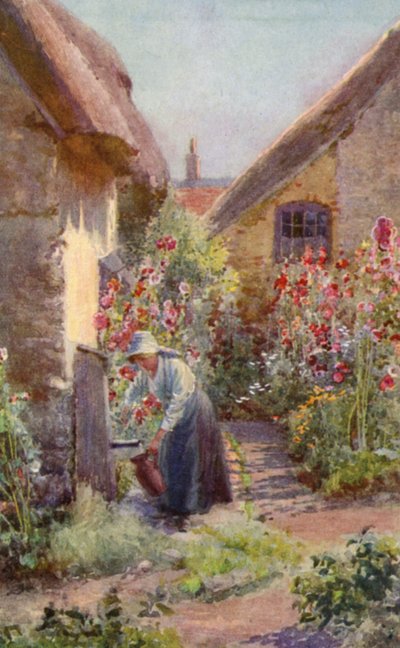 コテージガーデンのホーリーホック（カラーリトグラフ 作： Charles Edwin Flower