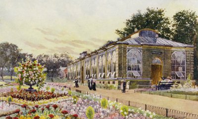 ロンドン動物園: モンキー ハウス (カラー リソ) 作： Charles Edwin Flower
