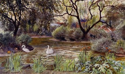 ロンドン動物園: Three Island Pond (カラー リソ) 作： Charles Edwin Flower