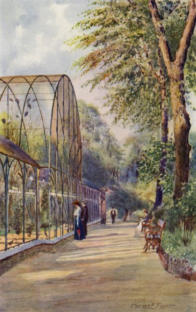 ロンドン動物園: Western Aviary (カラー リソ) 作： Charles Edwin Flower