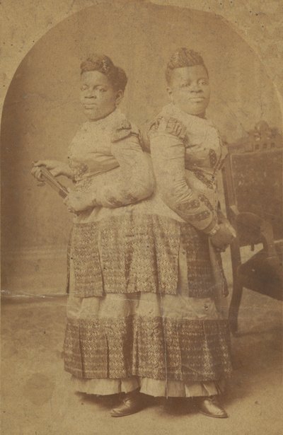 1880 年代から 1890 年代のミリーとクリスティン マッコイの卵白プリント。 作： Charles Eisenmann