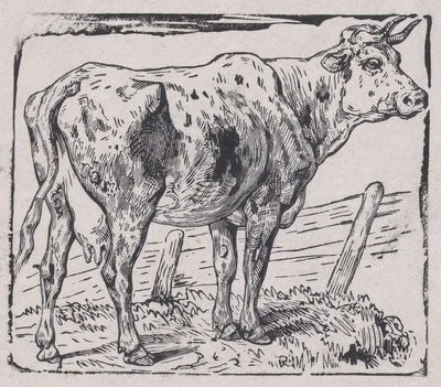 牛、カリフォルニア州。 1853年。 作： Charles Emile Jacque