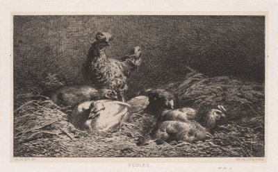 ニワトリ 作： Charles Emile Jacque