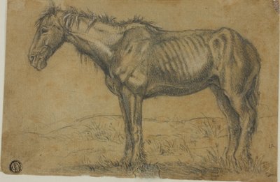 衰弱した馬（レクト）；馬の正面図（裏面） 作： Charles Emile Jacque