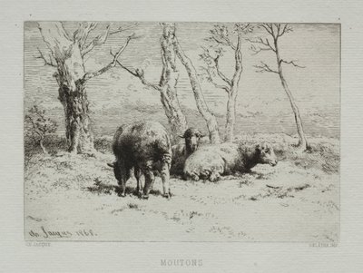 羊、1868年。 作： Charles Emile Jacque