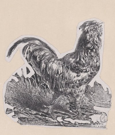 おんどり、カリフォルニア州。 1853年。 作： Charles Emile Jacque