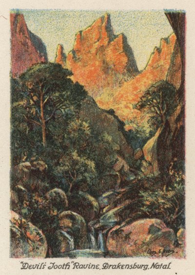 南アフリカ："悪魔の歯"、ナタール州ドラケンスブルグの渓谷（カラーリトグラフ） 作： Charles Ernest Peers