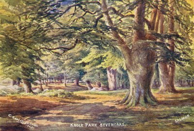 ノールハウス公園のブナの木（カラーリトグラフ） 作： Charles Essenhigh Corke