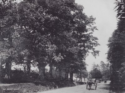 The Seven Oaks（モノクロ写真 作： Charles Essenhigh Corke