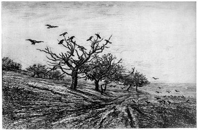 レイヴンツリー、1840〜1875年、1924年 作： Charles Francois Daubigny