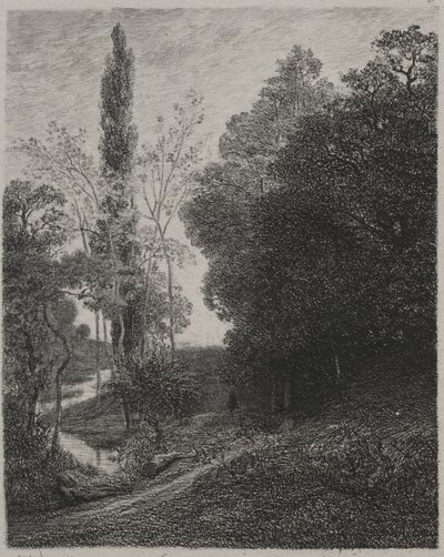 いとこの川の銀行、1850年。 作： Charles Francois Daubigny