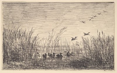 沼地のアヒル、[1862]、1921年に転載。 作： Charles Francois Daubigny
