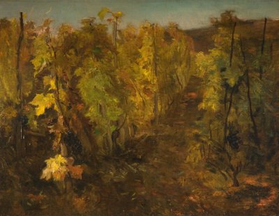 ラヴィーニュ、1860-1863 作： Charles Francois Daubigny