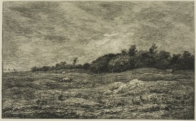 Villerville (Calvados) の Pre des Graves 作： Charles Francois Daubigny