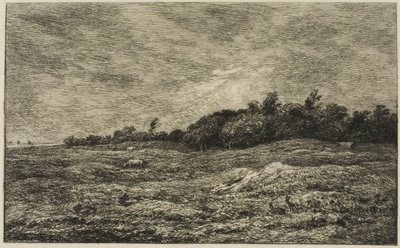 Villerville (Calvados) の Pre des Graves 作： Charles Francois Daubigny