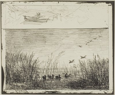 アヒルと湿地 作： Charles Francois Daubigny