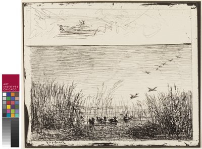 アヒルと湿地、1862 作： Charles Francois Daubigny