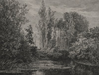 ウォーターズエッジのクワガタ、1850年。 作： Charles Francois Daubigny