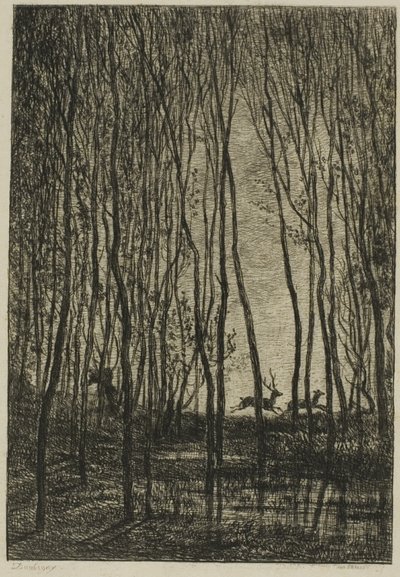 森の中の雄鹿 作： Charles Francois Daubigny