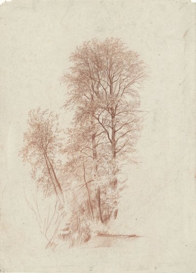 葉の中の 2 本の細くて小さい木のみの研究 作： Charles Francois Daubigny