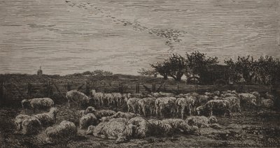 大羊のひだ、1860年。 作： Charles Francois Daubigny