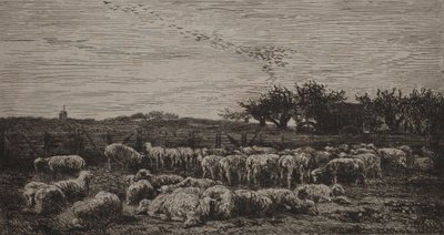大きな羊の囲い 作： Charles Francois Daubigny