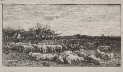大きな羊の囲い 作： Charles Francois Daubigny