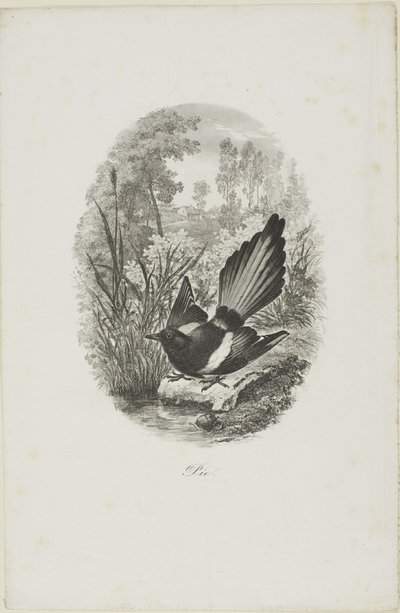 カササギ 作： Charles Francois Daubigny