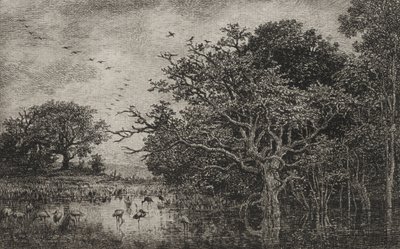 コウノトリのいる湿地 作： Charles Francois Daubigny