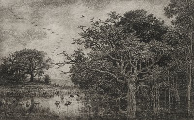 コウノトリと湿地、c。 1851年。 作： Charles Francois Daubigny