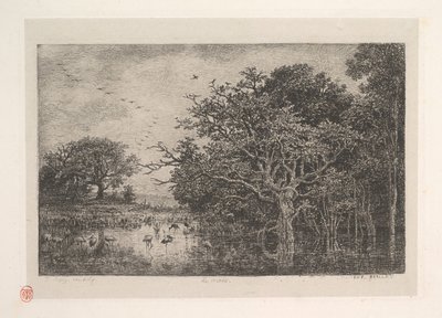沼地、1851年。 作： Charles Francois Daubigny