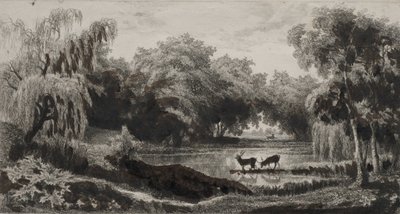 クワガタのプール、1845。 作： Charles Francois Daubigny