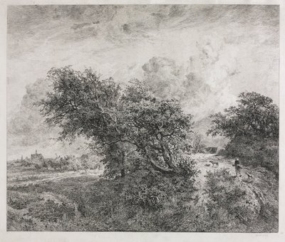 茂み、1855。 作： Charles Francois Daubigny