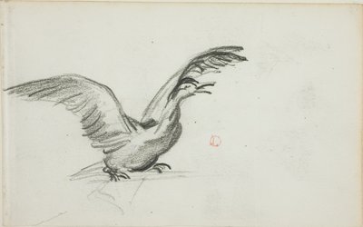 野生の二重唱（レクト）；ニッチの2人の裸婦像（裏面） 作： Charles Francois Daubigny