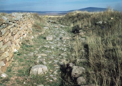 騎兵隊隊1813、「大英帝国のコスチューム、最後の規則1812による」から、JCスタドラーによって彫刻され、Colnaghi und Co. 1812-15から出版（アクアチント色） 作： Charles Hamilton Smith