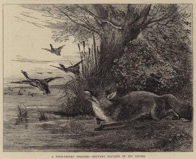 四足歩行の密猟者、レイナードは夕食を食べた 作： Charles Harvey Weigall